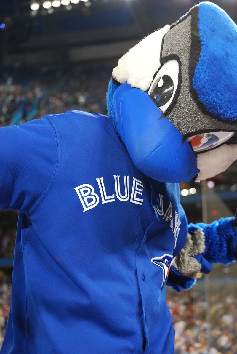 A fan wearing a Toronto Blue Jays jersey holds a sign for