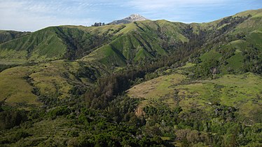 Andrew Molera State Park