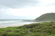 Angels Beach - bushland and view to southern end from popular picnic spot. Angelsbeach.JPG