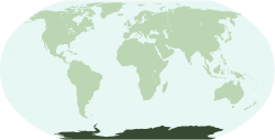 Mapamundi mostrando la ubicación de la Antártida.