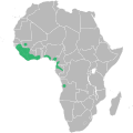 Range of Anthonotha crassifolia