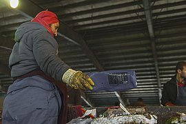 Aradkoh-Waste management-Tehran metropolis-2016 Photo by Mostafa Meraji-Photojournalism 20.jpg