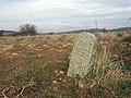 wikimedia_commons=File:BB42 Boundary Stone, Combe Valley.jpg