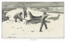 Robbenjagd am Strand der Young Island (1894)