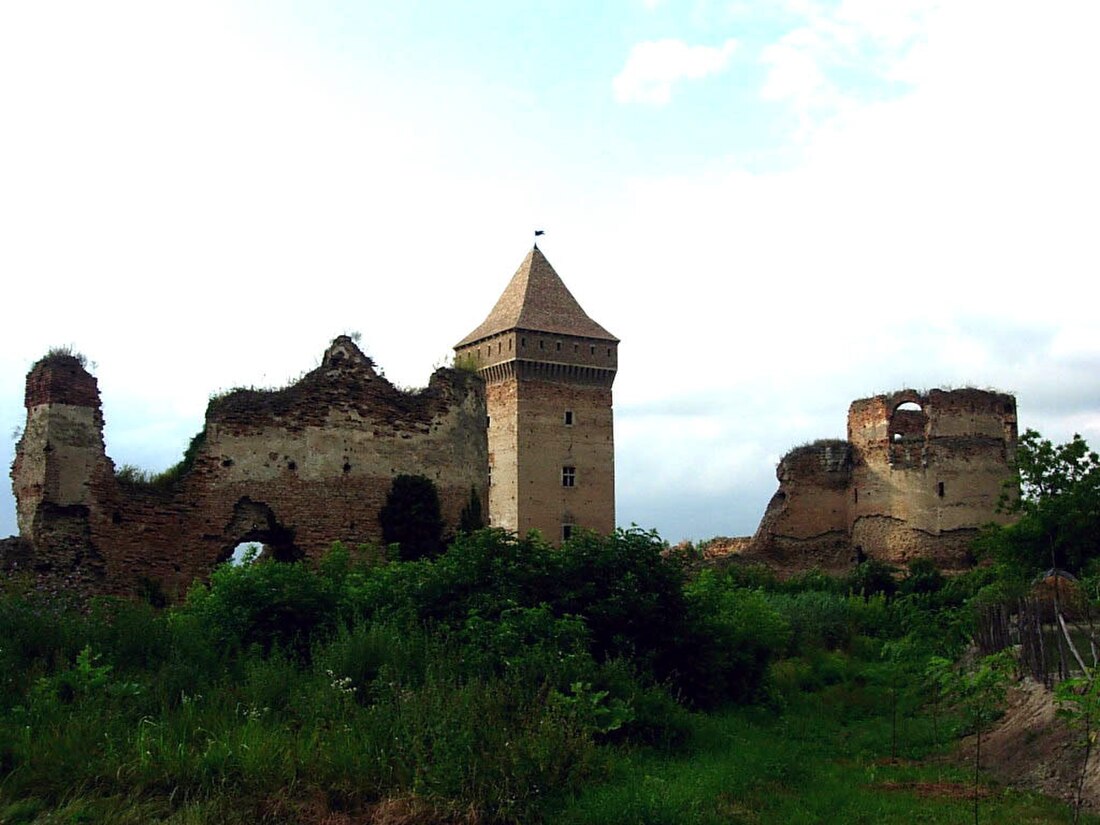 File:Bač fortress, view from the south-east.jpg