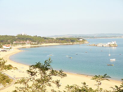 Cómo llegar a Playa de la Magdalena en transporte público - Sobre el lugar