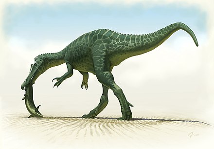 Spinosauridae Wikiwand