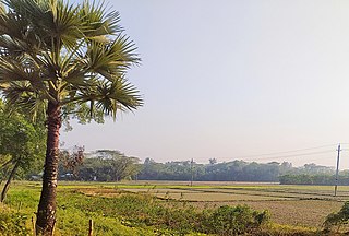 <span class="mw-page-title-main">Hatiya Island</span> Island in Bangladesh