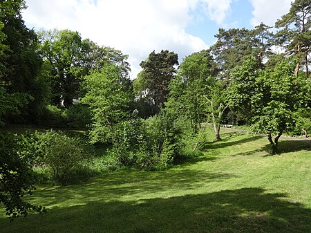 Berlin Dahlem Thielpark Schilfteich