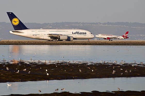 Two Airbuses at San Francisco International Airport