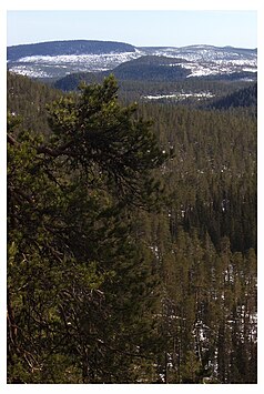 Paesaggio nel Parco Nazionale di Björnlandet