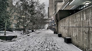 Bleak Victoria Street Winter.