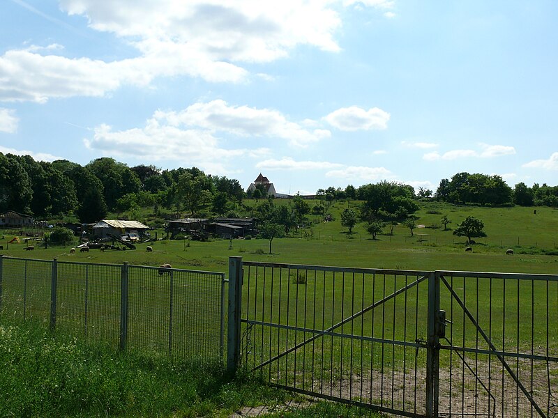 File:Bohnsdorf Buntzelstraße-001.JPG