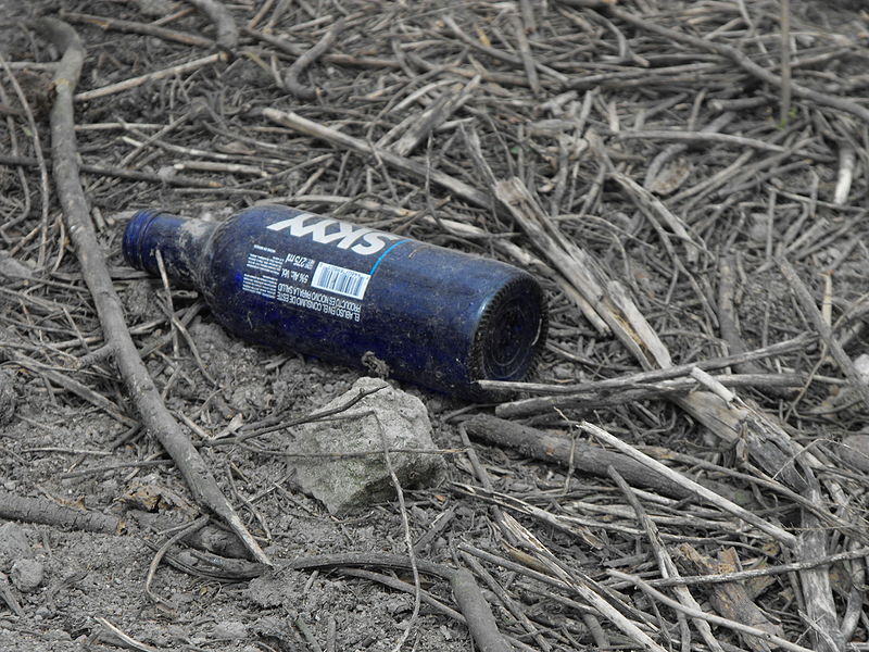 File:Botella de Skyy en el suelo.JPG