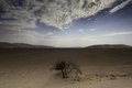 Deserto nel Sossusvlei