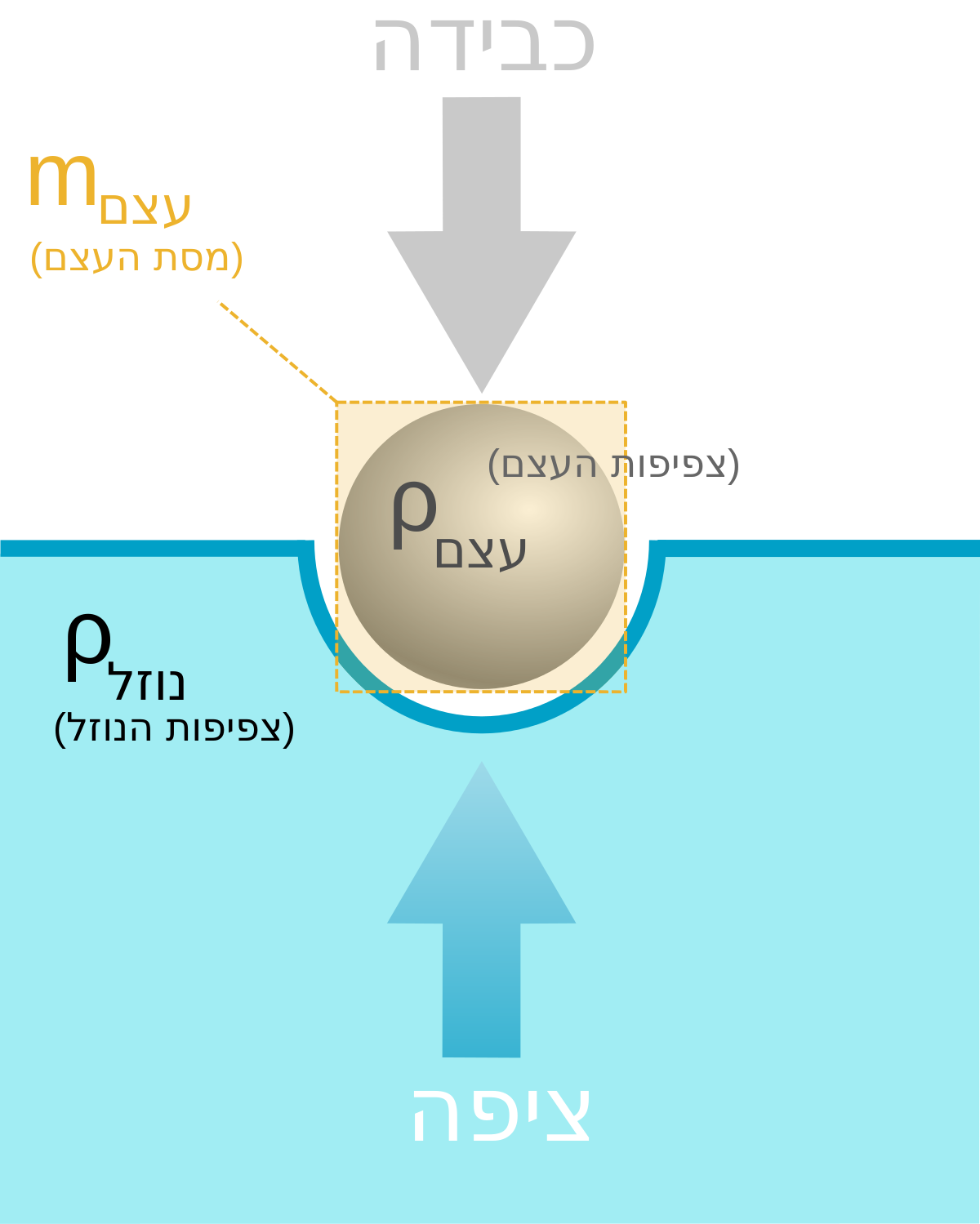 ציפה (פיזיקה) – ויקיפדיה