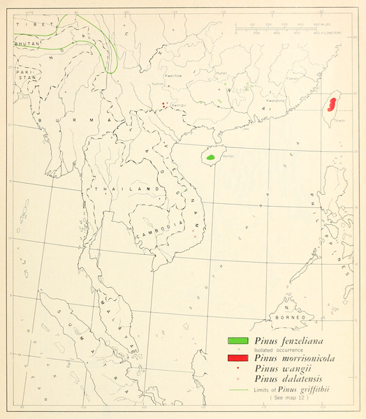 File:CL-14 Pinus fenzeliana, morrisonicola, wangii & dalatensis.png