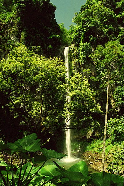 File:Camiguin - philippines - panoramio.jpg