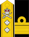 Canadian rear admiral shoulder board and sleeve insignia (since June 2010).