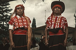 <span class="mw-page-title-main">Tzeltal people</span> Mayan subgroup