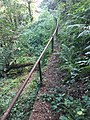 Carreiro de Nogueiroa a Parada Labiote (O Irixo) no Porto do Río (río Viñao)