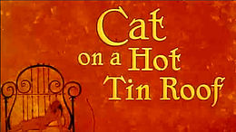 Cat on a Hot Tin Roof.jpg