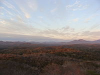 Chamela-Cuixmala DryForest.JPG 