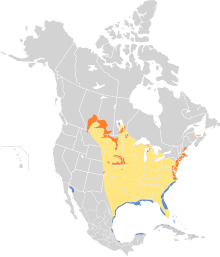 Charadrius melodus map.svg