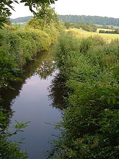 Chard Canal