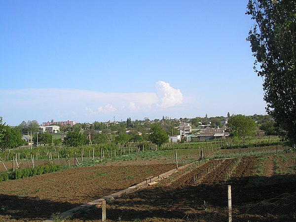 Село сакское. Червонное (Сакский район). Село червонное Крым. Село Червоное Сакский. Село червонное 2021.