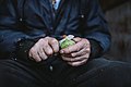 Close up of an old man peeling the walnut skin with a knife - 50431897463.jpg