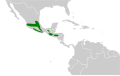 23:05, 1 iraila 2022 bertsioaren iruditxoa