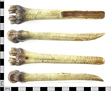 A bone with a rounded end, half of the shank cut away longitudinally, and the end without the knob narrows to a point.