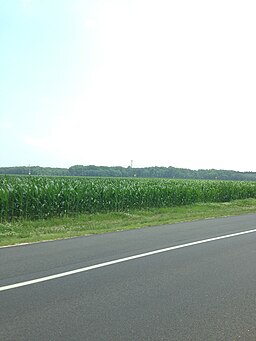 Corn in Lewes