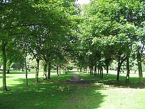 Gericht Hey Park - geograph.org.uk - 597742.jpg