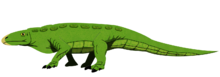 Extremely hypothetical life restoration Crosbysaurus hypothetical.png