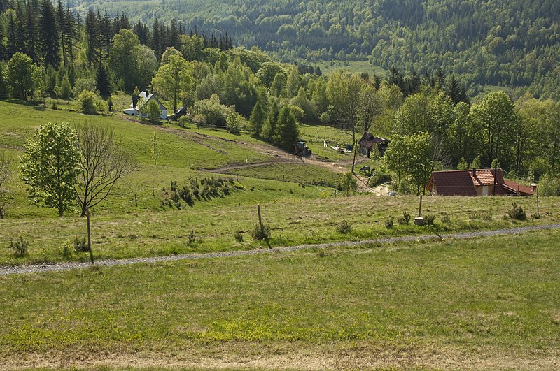File:Czerniawa Zdrój - panoramio (2).jpg