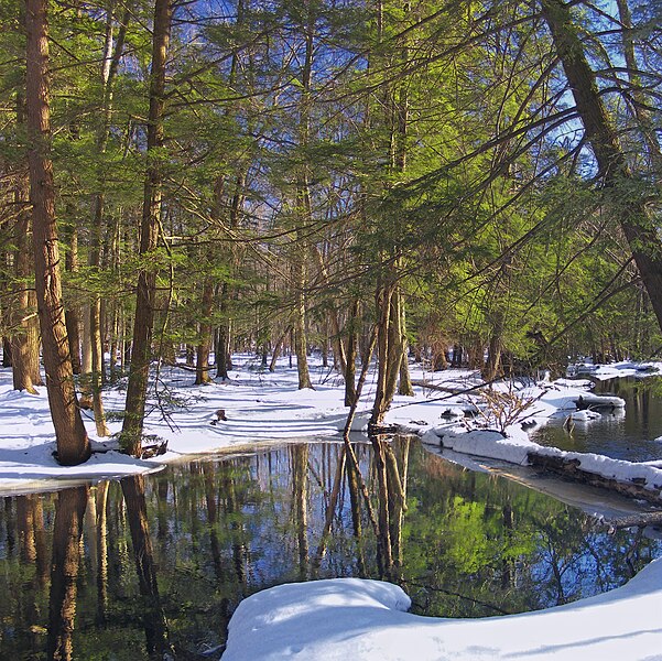 File:Delaware State Forest Glen.jpg