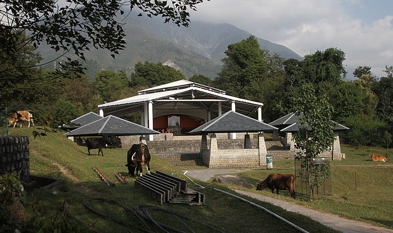 File:Dharamsala-Frauenkloster Dolma Ling-10-Meditationshalle-gje.jpg