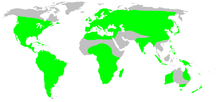 Segestriidae, distribuzione