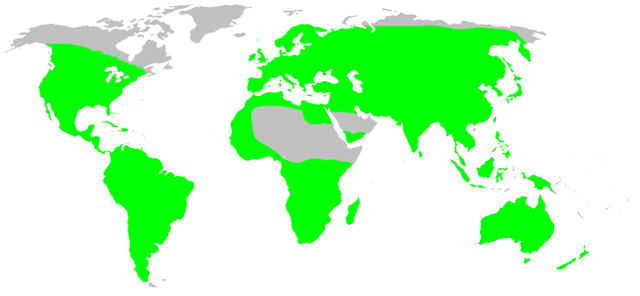 Distribuição geográfica das espécies de trombiculídeos