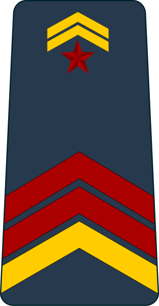 File:Djibouti-Airforce-OR-4.svg