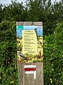 Dans les Dunes de Flandres Réserve naturelle nationale de la dune Marchand Bray-Dunes Nord