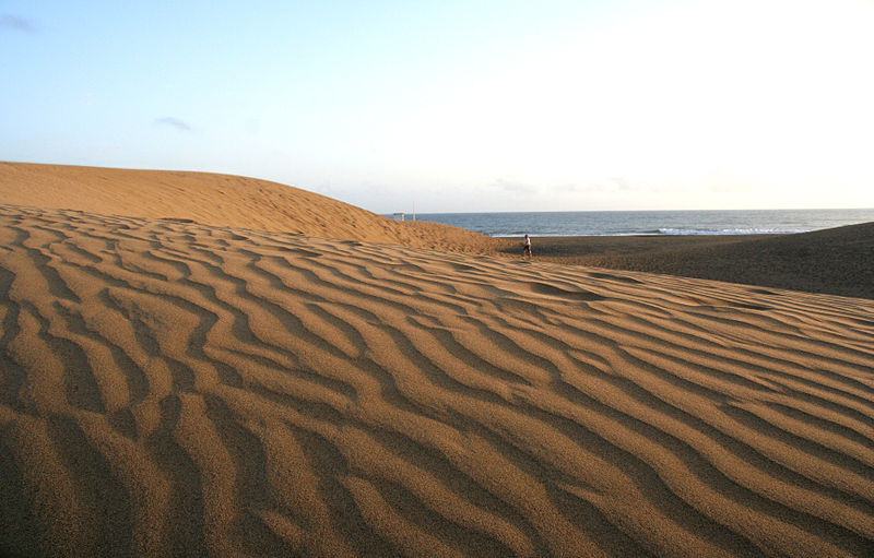 File:Dunes 1 (2289460150).jpg