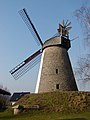 Windmühle Dützen