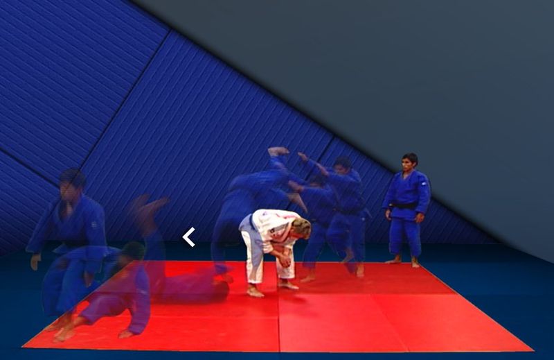 File:EVD-judo-047.jpg
