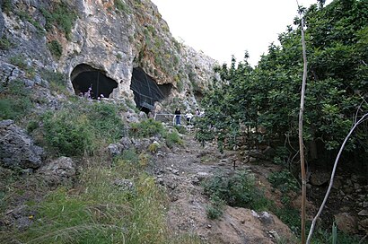 איך מגיעים באמצעות תחבורה ציבורית  למערת הנחל? - מידע על המקום