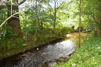 The Beuster near Marienburg (2016)