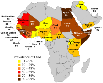Percentage of women aged 15–49 who are living with FGM in the 29 countries in which it is concentrated (click here for a more detailed map of Africa).[66]