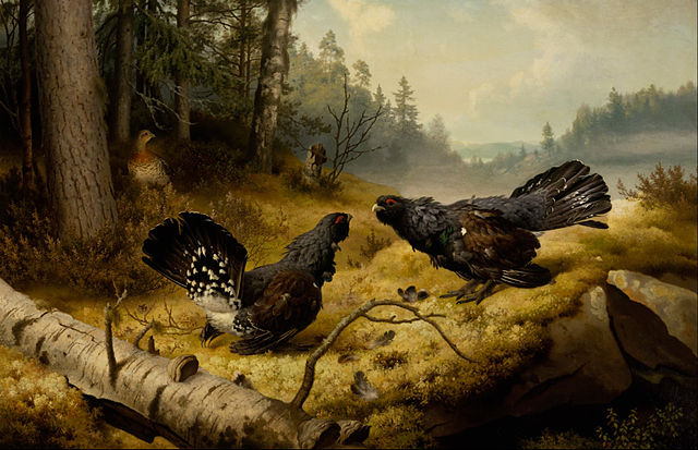 640px-Ferdinand_von_Wright_-_The_Fighting_Capercaillies_-_Google_Art_Project.jpg (640×413)